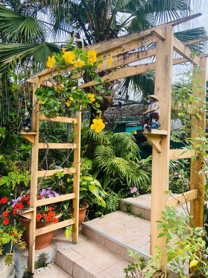 Chambres d'hôtes l'Orchidée Rose Salazie Exterior foto