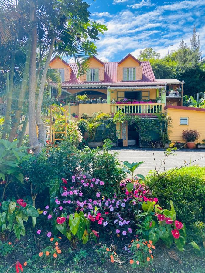 Chambres d'hôtes l'Orchidée Rose Salazie Exterior foto