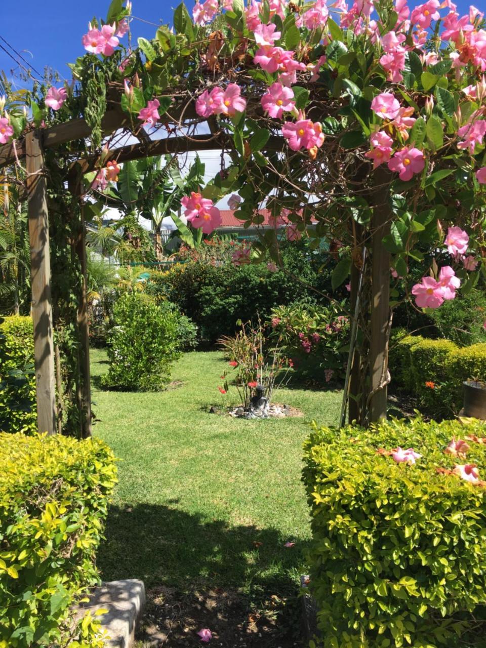 Chambres d'hôtes l'Orchidée Rose Salazie Exterior foto